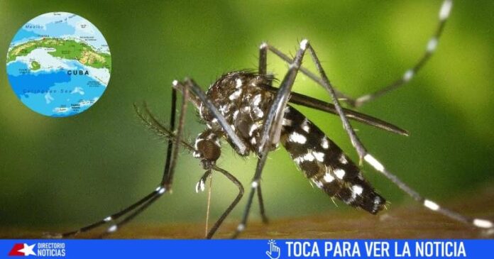 Virus Oropouche se extiende por Cuba: confirman casos en Villa Clara