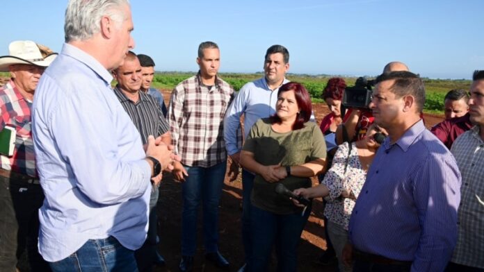 Escepticismo ante visita de Díaz-Canel a Pinar: “Puede visitar las veces que desee que esto no va a cambiar”