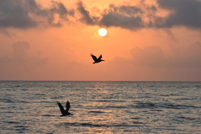 Sunrise in Cayo Paredon, Jardines del Rey, Cuba – Photo of the Day – Havana Times