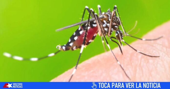 Alertan en provincia cubana: casi 10 mil casos de “fiebre inespecífica” este año