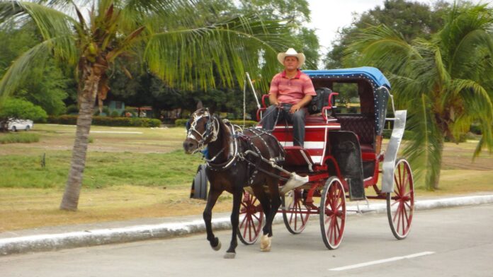 Horse-Drawn Vehicle, Marea del Portillo, Cuba – Photo of the Day – Havana Times