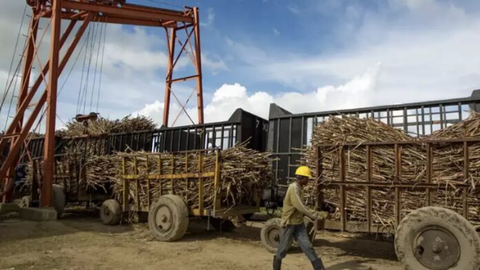 Food Production in Cuba Is Going Through Worst Moments – Havana Times