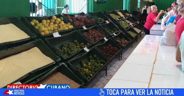 Tope de precios a estos productos en mercados agropecuarios en Cuba