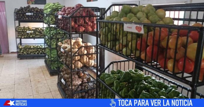 Precios de los alimentos en Cuba HOY: Mipymes, mercado agropecuario, Tiendas MLC