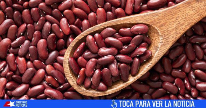 Crisis alimentaria: Millones para enviar frijoles a Cuba desde Chile