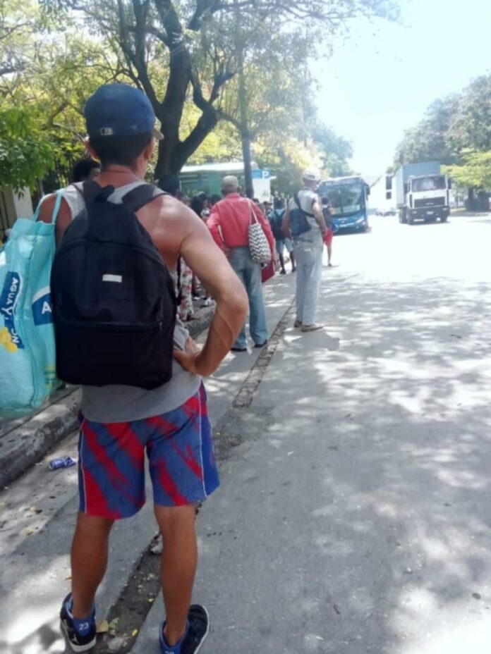 Justifying Survival Here in Cuba – Havana Times