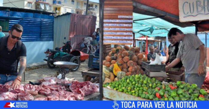 Ferias Agropecuarias este sábado en La Habana: Te informamos dónde, los precios y las ofertas