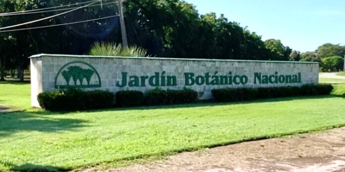 Un domingo en el Jardín Botánico Nacional: una opción poco atractiva y aburrida