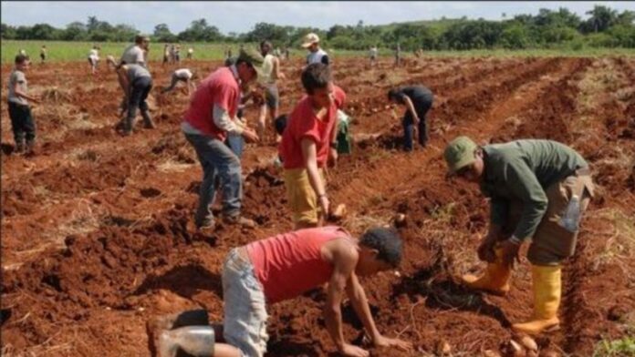 Cubanos rechazan medidas anunciadas por autoridades de Educación