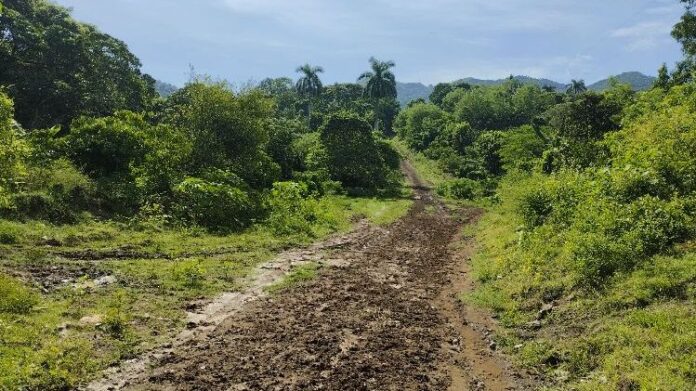 Apenas una quinta parte de la red vial en Santiago de Cuba está en “buen estado”