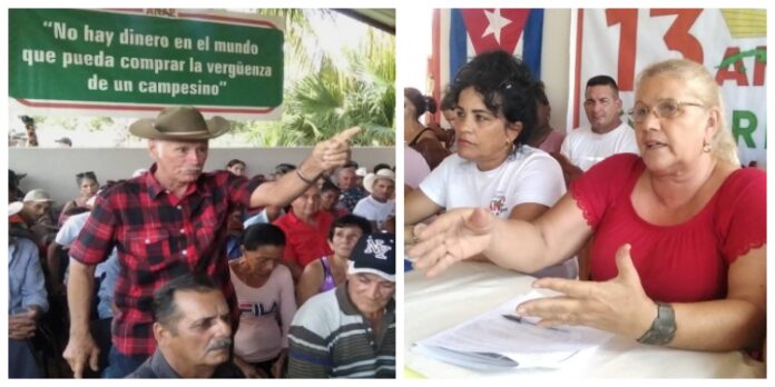 “Hace tres meses dejaron de pagarnos”: denuncian campesinos en Cienfuegos