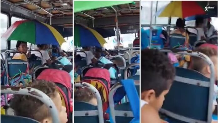 Madre cubana denuncia pésimas condiciones de guagua para niños con autismo: “Llueve más dentro que fuera”