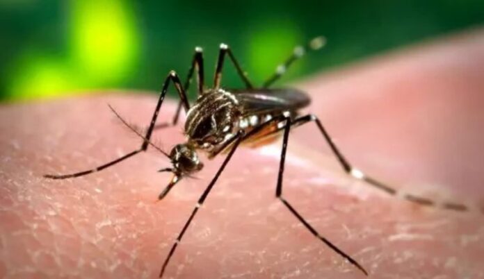 Cuba tienen pacientes con dengue en “estados graves”, informa Francisco Durán