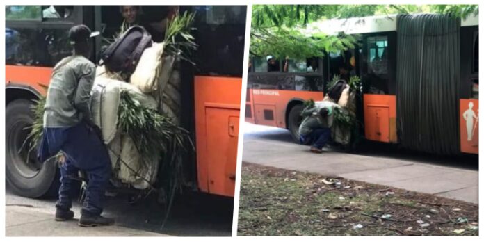 Un chofer y cobrador del P1 son despedidos en La Habana por indisciplina “grave”