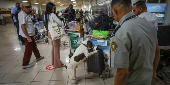 Funcionarios de Aduana: Los modos para ocultar droga son “diversos y sofisticados”