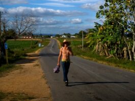 Ni guaguas ni trenes, Pinar del Río frena todo el transporte público