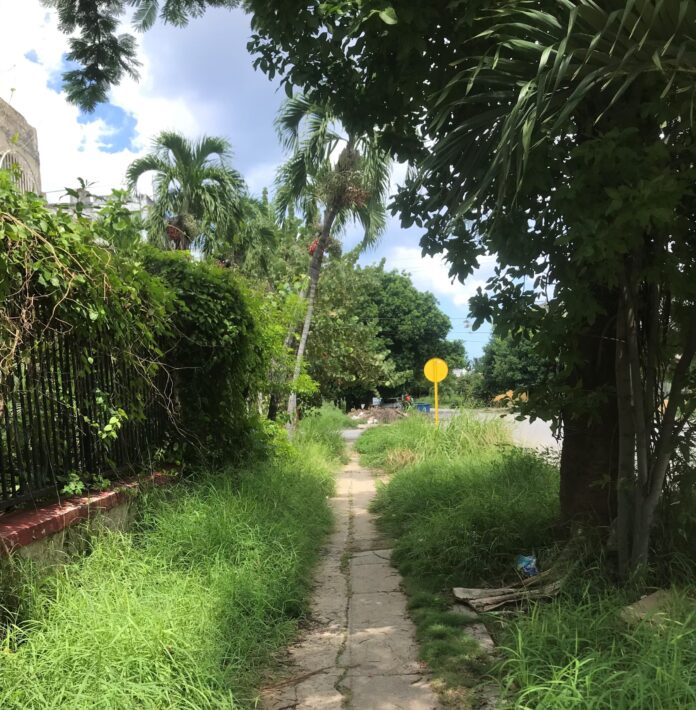 The Changes in My Upper-End Cuban Neighborhood – Havana Times