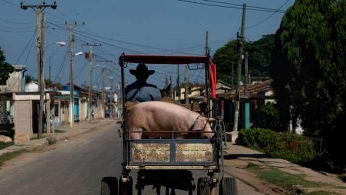 Entran en vigor nuevas regulaciones para el sector privado en Cuba