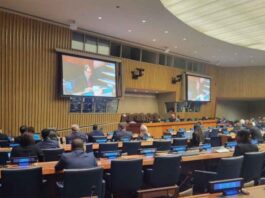 Cuba reafirma compromiso con Palestina en encuentro de Mnoal en ONU (+Post)