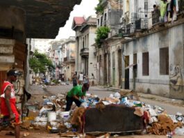 Científico cubano: deterioro de la economía ha creado un entorno ideal para el dengue y el Oropouche