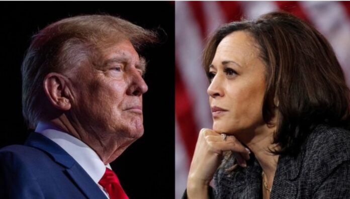 Harris or Trump: Which Is Better for Latin America? – Havana Times