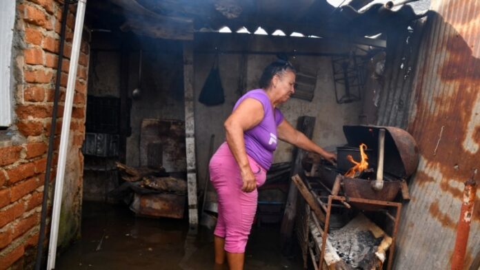 Dengue y Oropouche pululan en Cuba; autoridades hablan de “compleja batalla” para contener la propagación