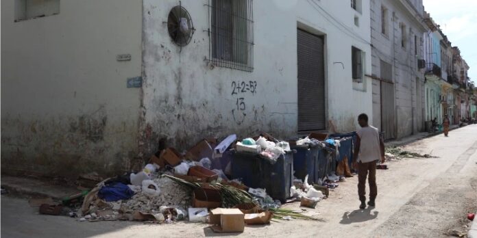 Insectos y roedores invaden hogares en la Habana