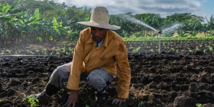 El ministro de Agricultura fiscaliza la reducción de la producción agropecuaria