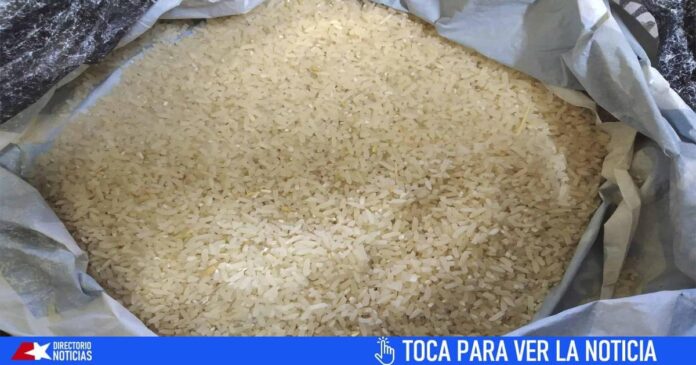 Información de la ministra del Comercio Interior sobre distribución del arroz de la bodega