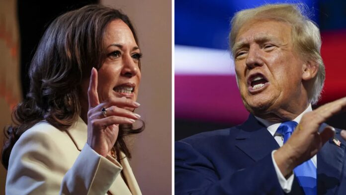 USA Elections 2024 Trump vs. Harris – Havana Times