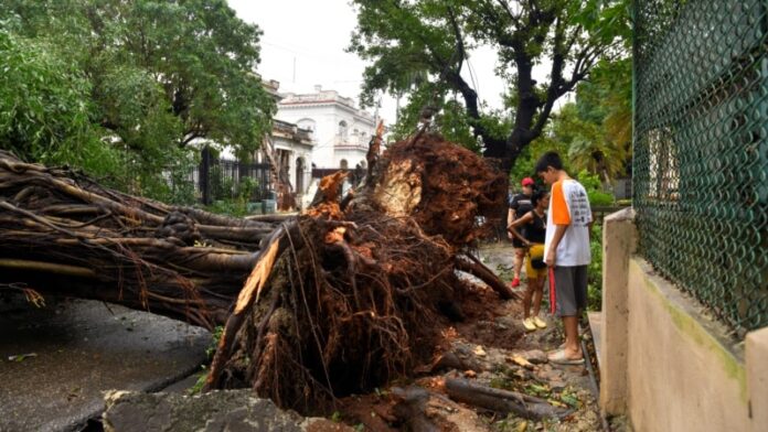 Derrumbes, árboles caídos y postes eléctricos en el piso: La Habana tras el paso del huracán Rafael