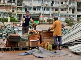 Hambre, destrucción y abandono, Cuba en situación extrema por huracán Rafael