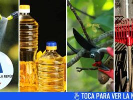 ¿Cuáles son los nuevos productos exentos de pagos en la Aduana de Cuba?