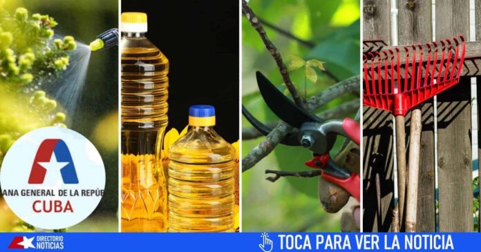 ¿Cuáles son los nuevos productos exentos de pagos en la Aduana de Cuba?