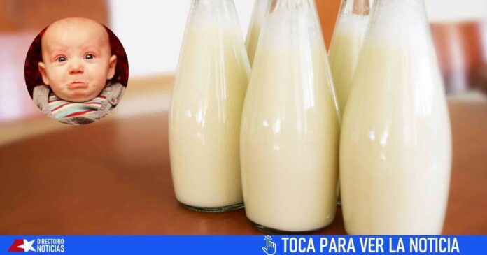 Sin leche en Cuba para niños de 2 a 6 años. “No alcanza para todos”, dice Lácteos