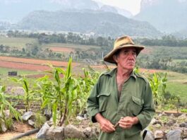 The Resilience of the Cuban Farmer – Photo of the Day – Havana Times