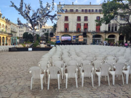 The Tree of a Thousand Voices Arrives in Havana, Cuba   – Havana Times