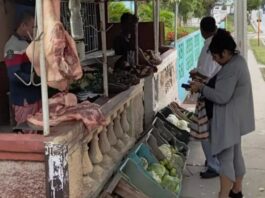 The Price of Pork in Cuba Skyrockets as Holidays Near – Havana Times