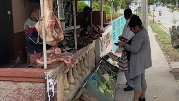 The Price of Pork in Cuba Skyrockets as Holidays Near – Havana Times