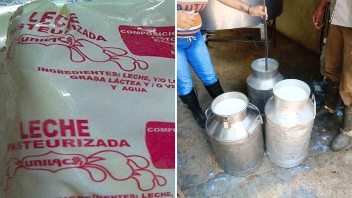 Medidas improvisadas ante crisis con la leche de los niños en Cuba