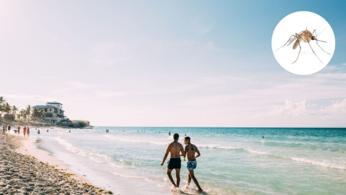 Turista rusa sufre los jejenes en hoteles de Cuba: “Arruinaron mis vacaciones”