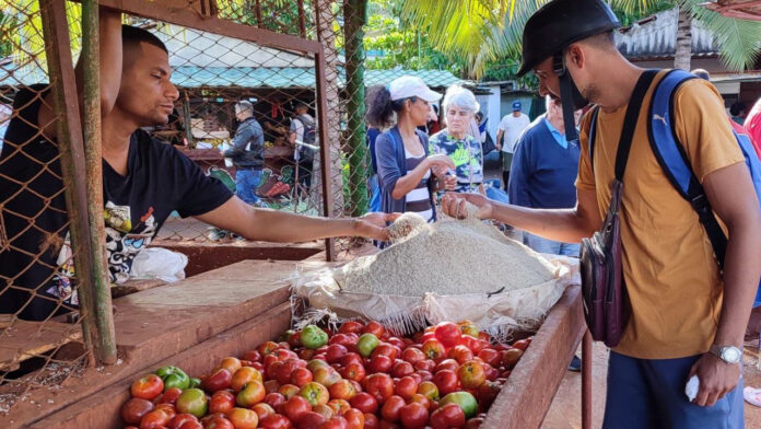 The Colors of Cuban Christmas – Havana Times