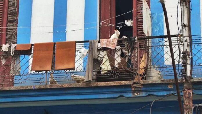 Havana: Chickens on the Balcony and Pigs in the Bathtub – Havana Times