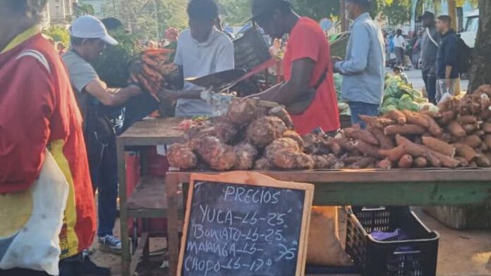 Así están los precios de los alimentos en los mercados cubanos este enero