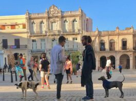 Movement in Old Havana's Plaza Vieja – Havana Times