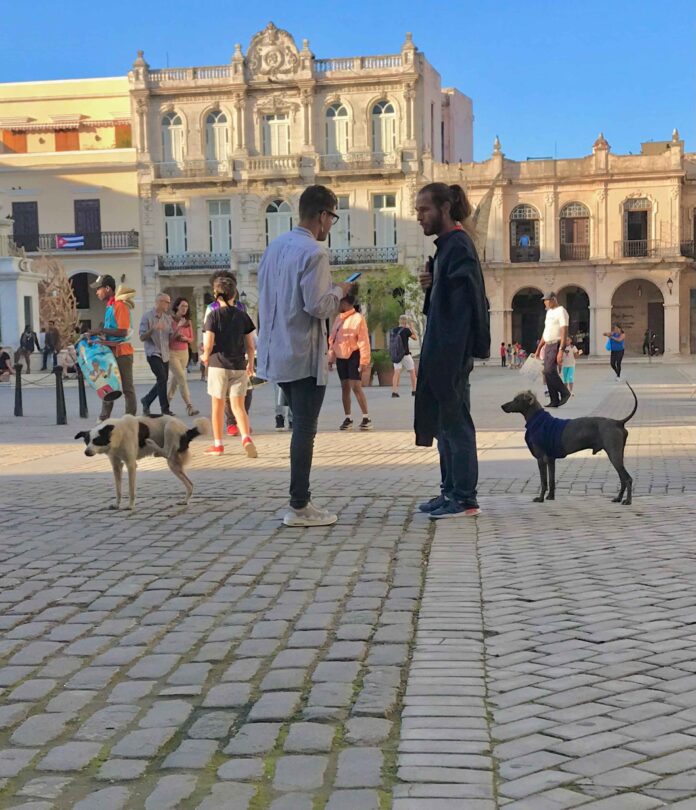 Movement in Old Havana's Plaza Vieja – Havana Times