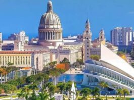 Cuba: Artificial Intelligence against Natural Stupidity – Havana Times