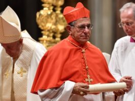 “Me acabo de enterar”: cardenal de Cuba ajeno a mediación de la Iglesia para liberar presos políticos