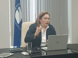 Oficial. Presidenta de ETECSA informa que “diseñarán ofertas que permitan obtener divisas”