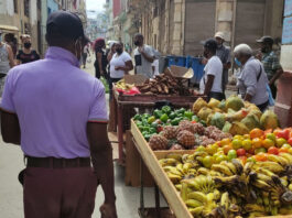 Los datos agropecuarios de la Onei reflejan una crisis alimentaria sin precedente en Cuba